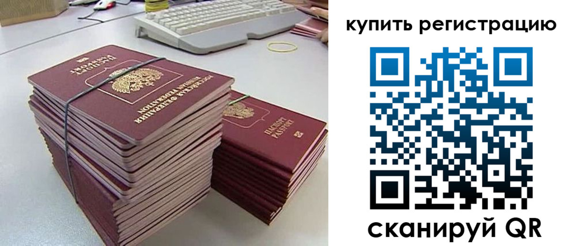 регистрация для школы в Новгородской области