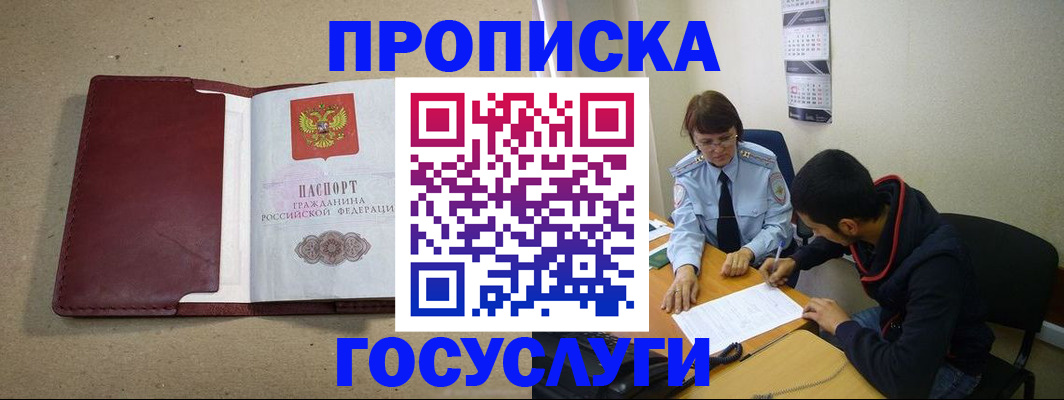 прописка для школы в Новгородской области